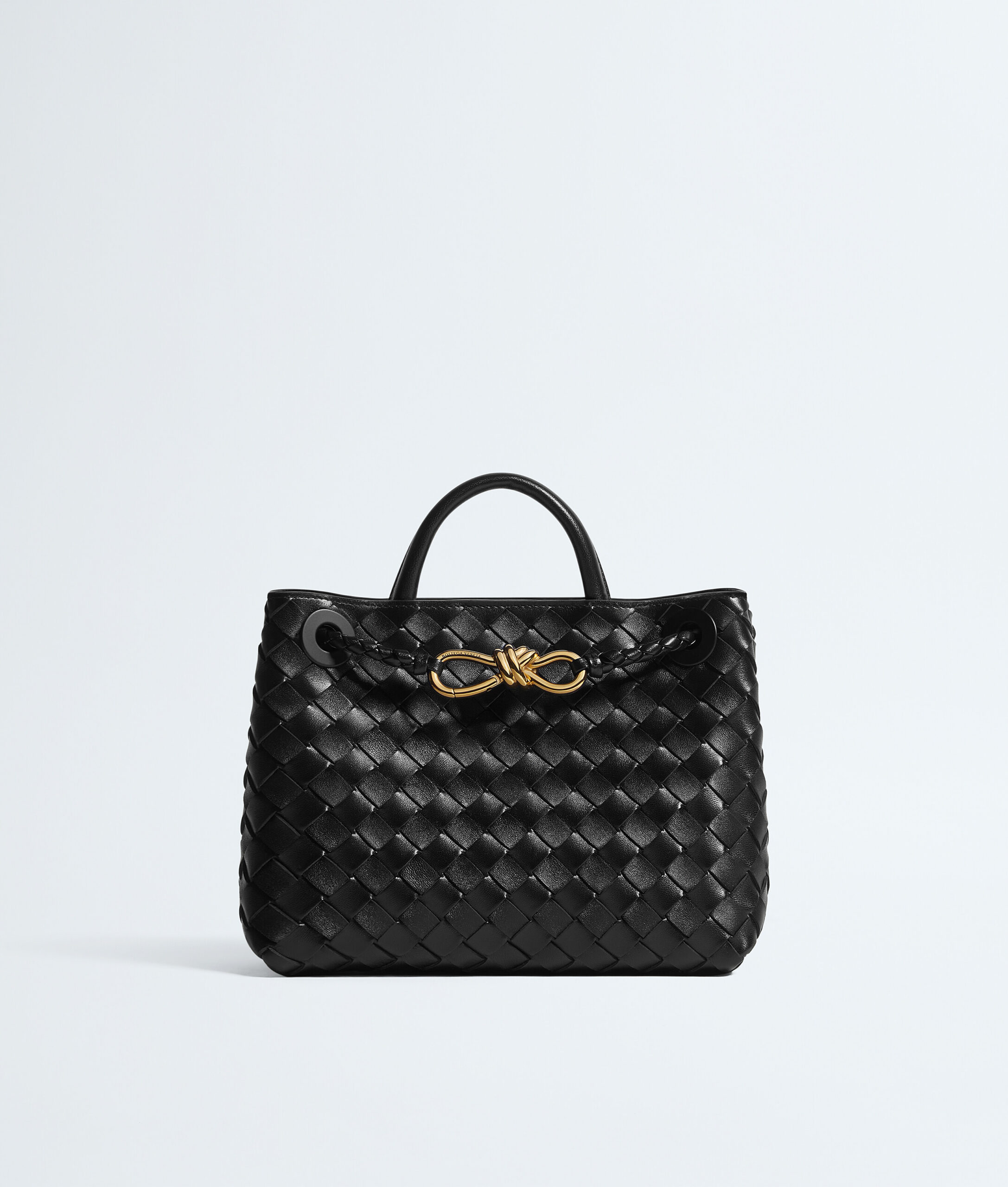 Bottega Veneta Small Andiamo Bag